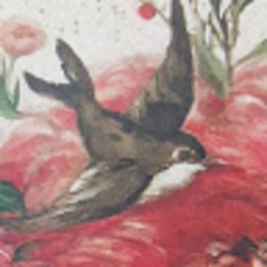 Meet your Posher, Tara